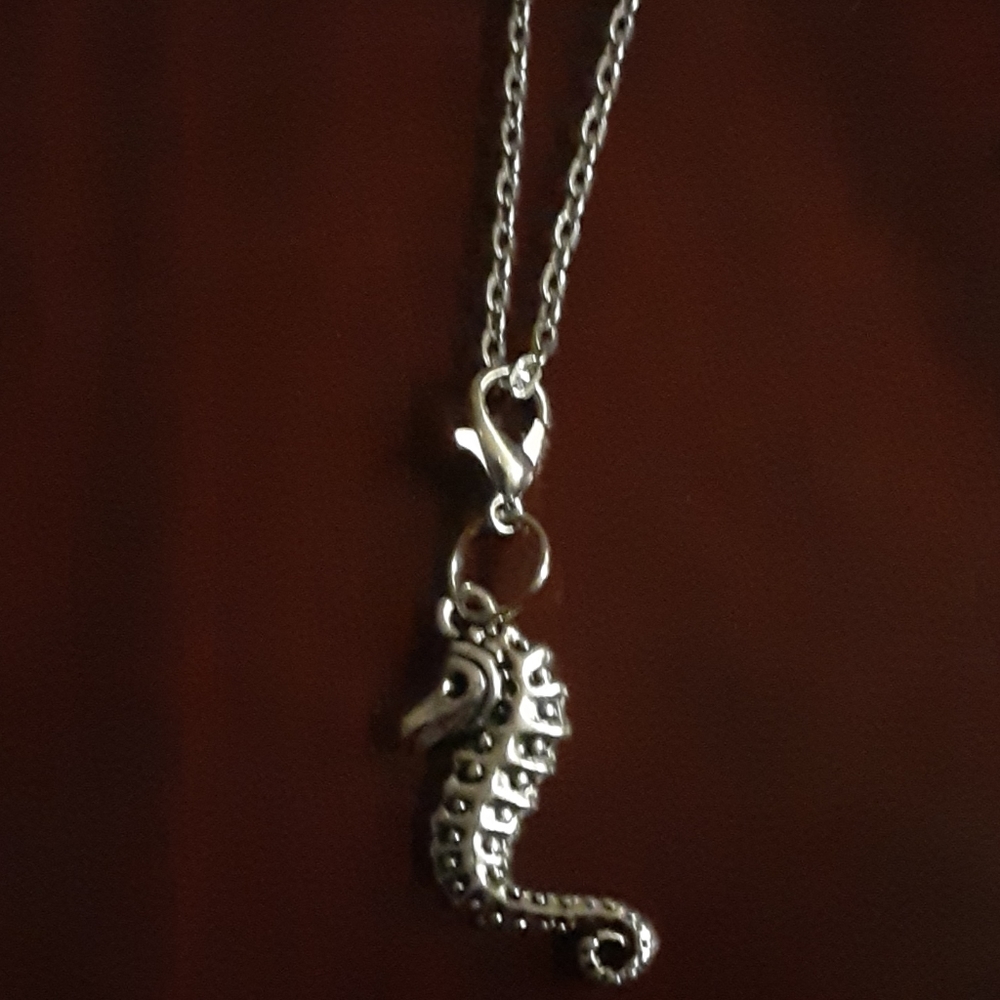 silver necklace with seahorse charm